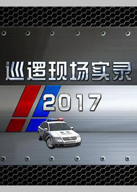 巡逻现场实录2017