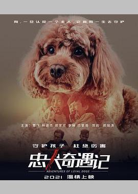 忠犬奇遇记