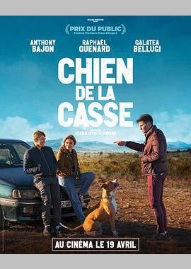 Chien de la casse